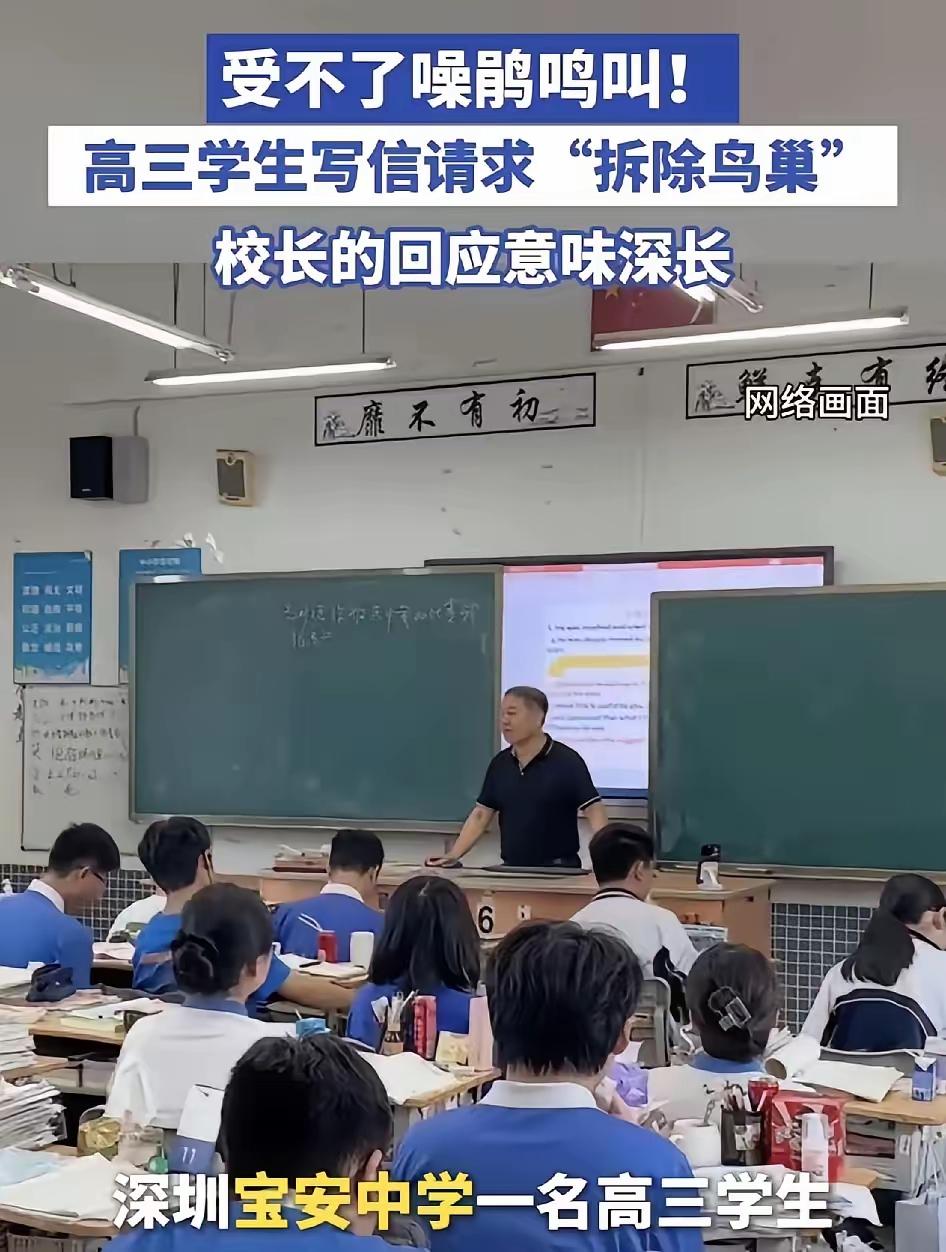 “这才是教育该有的模样！”深圳，一中学有个高三学生，因为学校里的噪鹃鸟整天叫个不