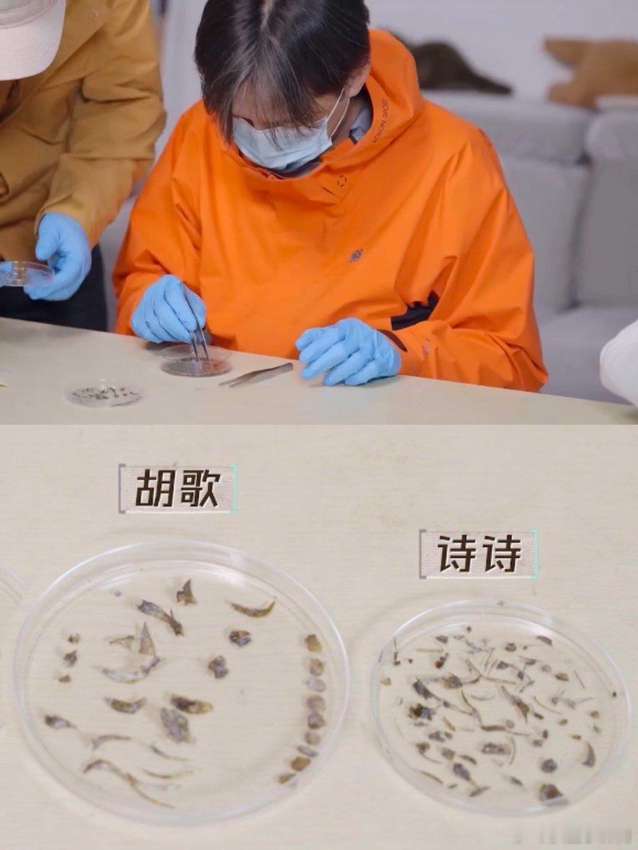 胡歌字典里的jiang是倔强的强  演我和我的处女座朋友，在这个完美主义眼里，当