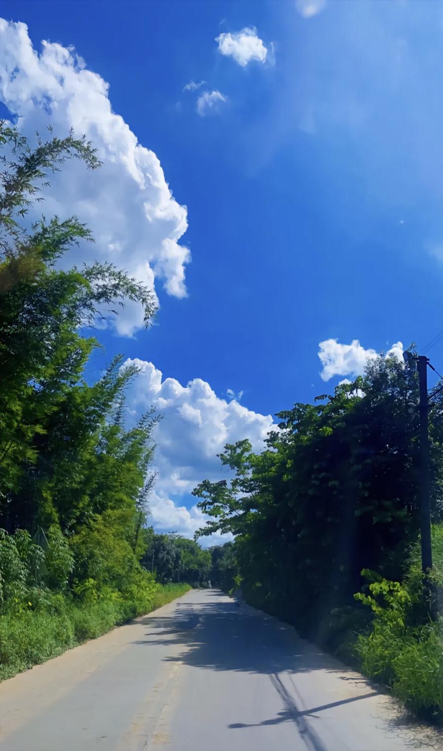 蓝天白云下的乡间小路，静谧而美好。