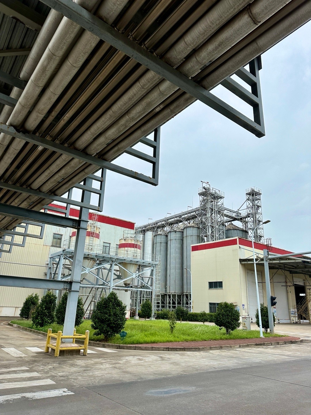 #不忘来时路 奋进新征程#江西省吉安市吉水有一家啤酒生产，这里生产着我们爱喝的啤