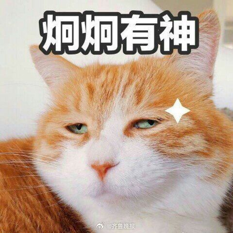 【#中医说身体好眼睛是亮亮的#】中医认为，眼睛为脏腑精气的汇聚之所。眼睛的不同部