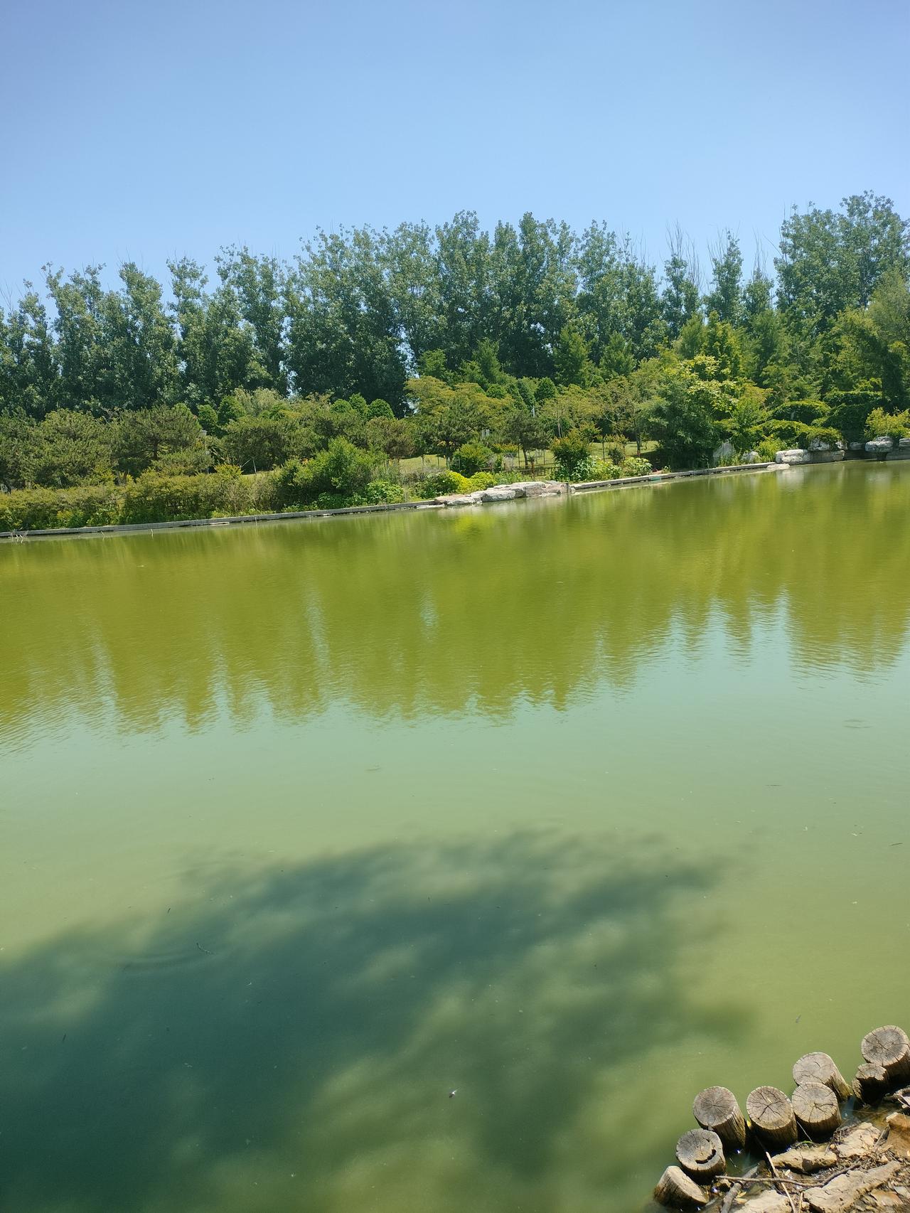 人生每个年龄段的欲望都是什么?20岁20岁的时候就是要漂亮，30岁的时候就是要事