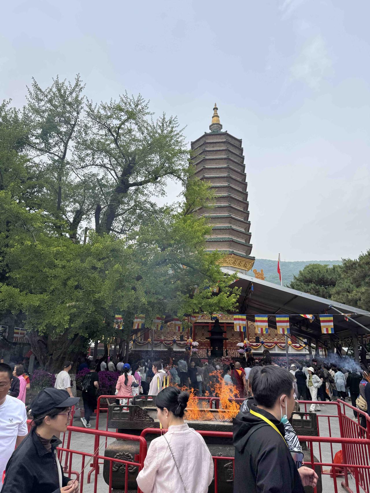 八大处公园位于北京市西山风景区南麓，是国家AAAA级景区，是一座历史悠久、风物宜