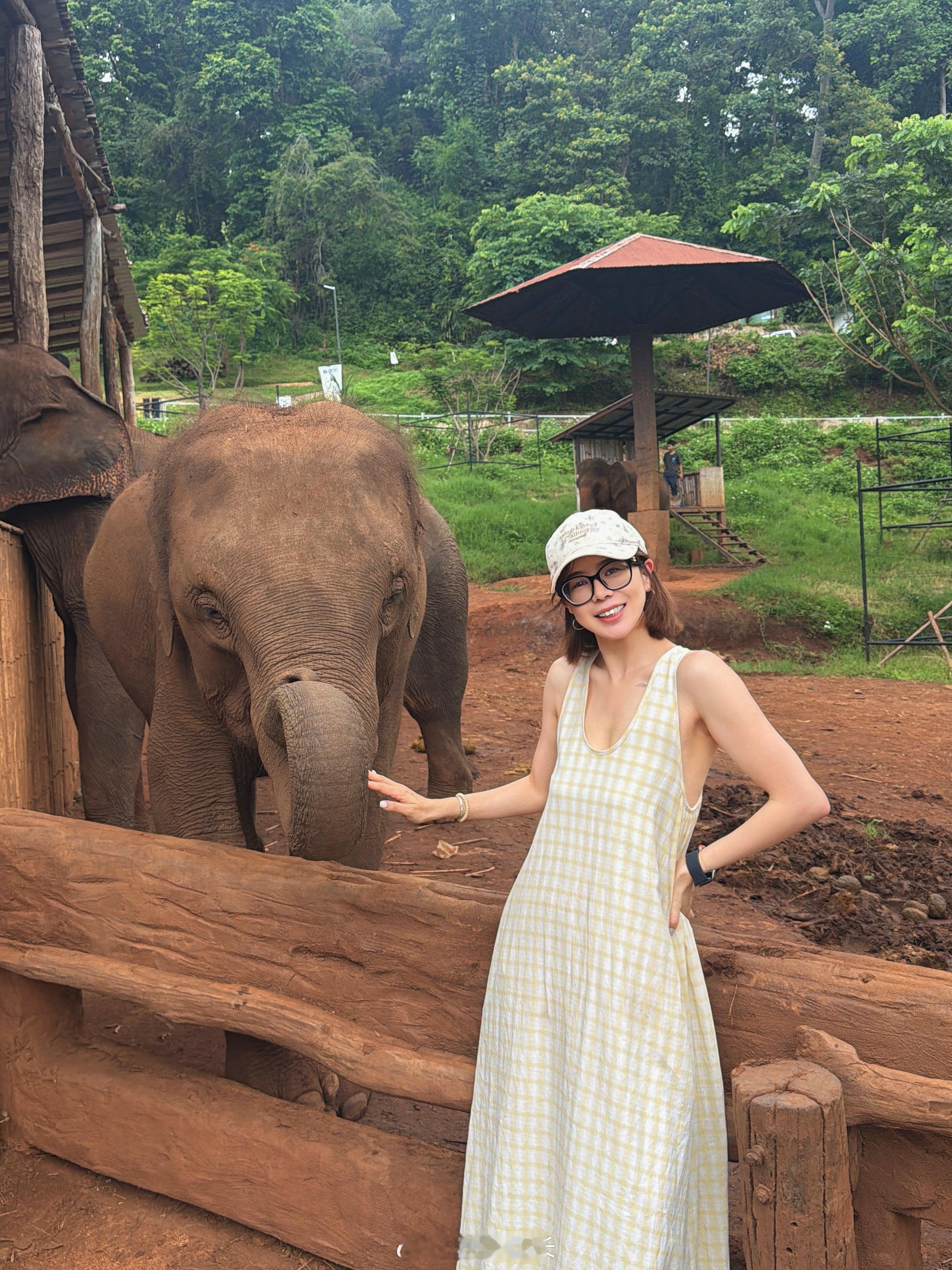 🐘🐘🐘和妹宝一起看大象 