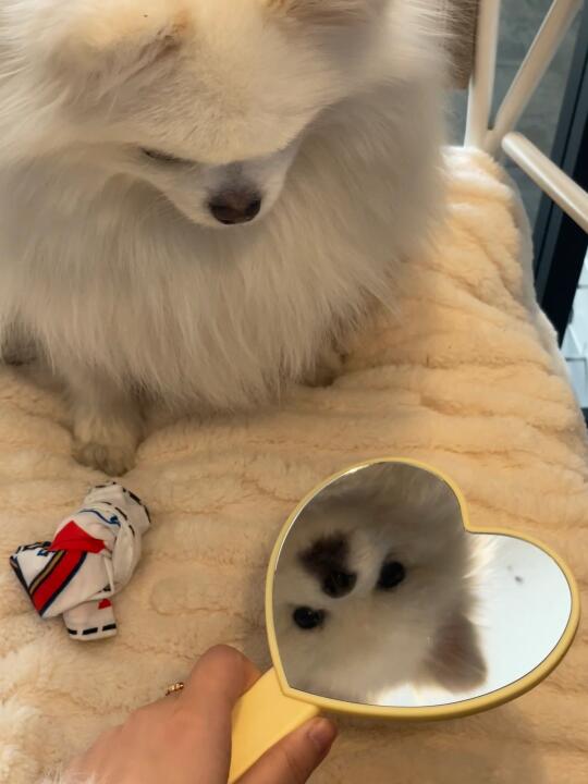 看起来像生气了一样😠其实没生气😶