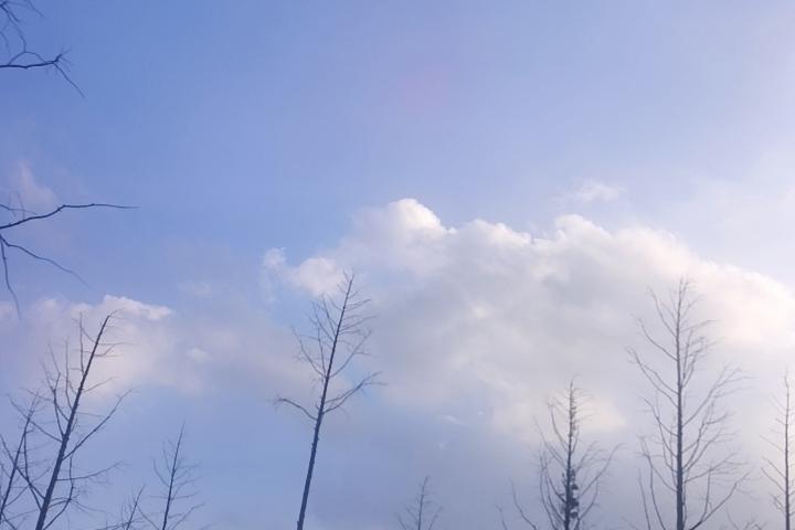 正式告个别吧，从今天开始，你也不联系我了，我也不联系你了。

或许我们从此以后，