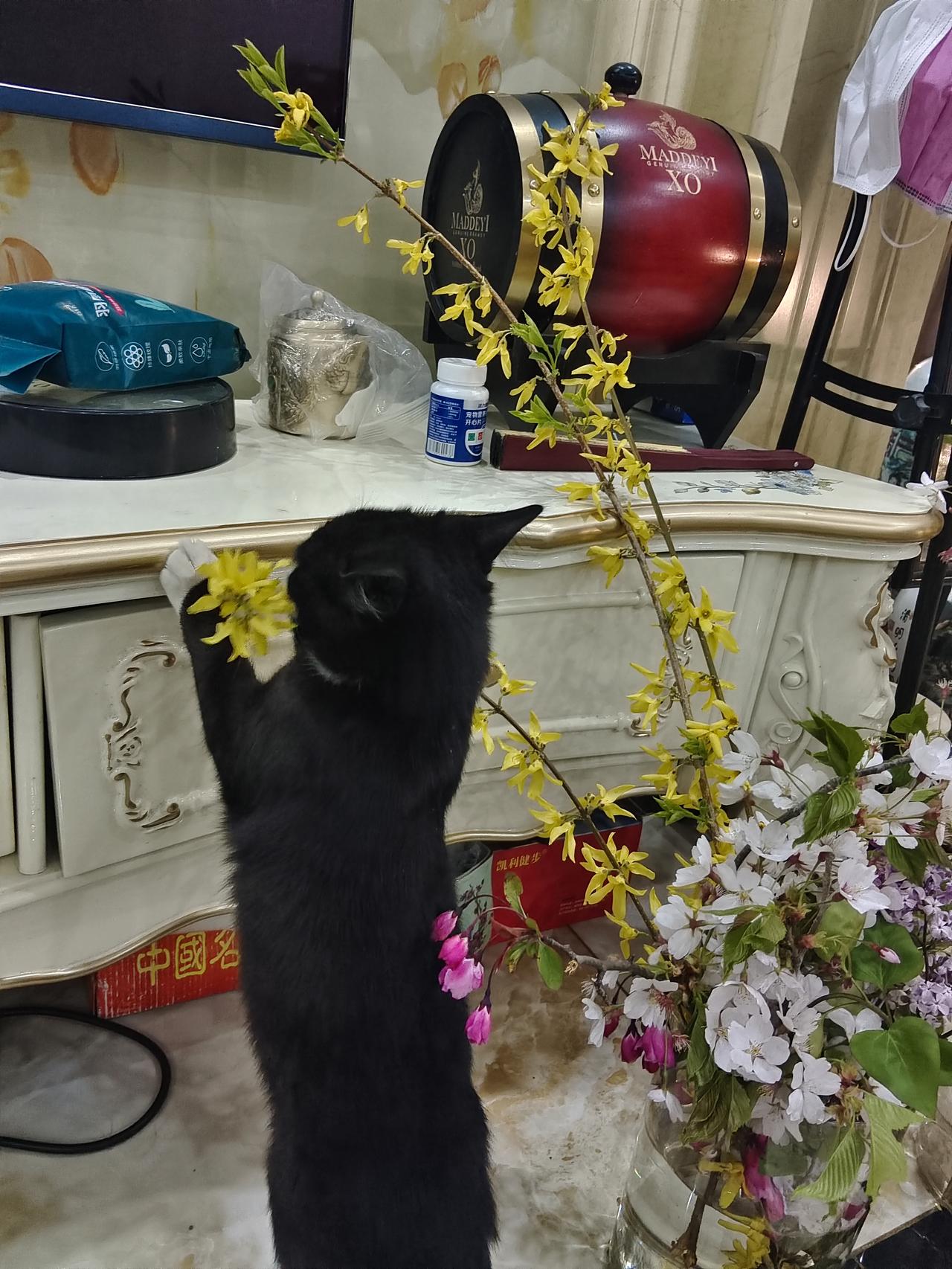 晒出美好生活照