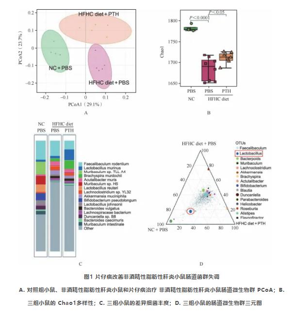 中医药出海，情怀是初心，科研是底气！
 
全国人大代表、福建中医药大学教授林尧以