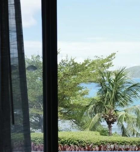 夏日生活打卡季帘隙漏进晴光，椰枝斜倚碧海，翠色裹着浪声轻晃。风掠过窗沿时，连蓝空