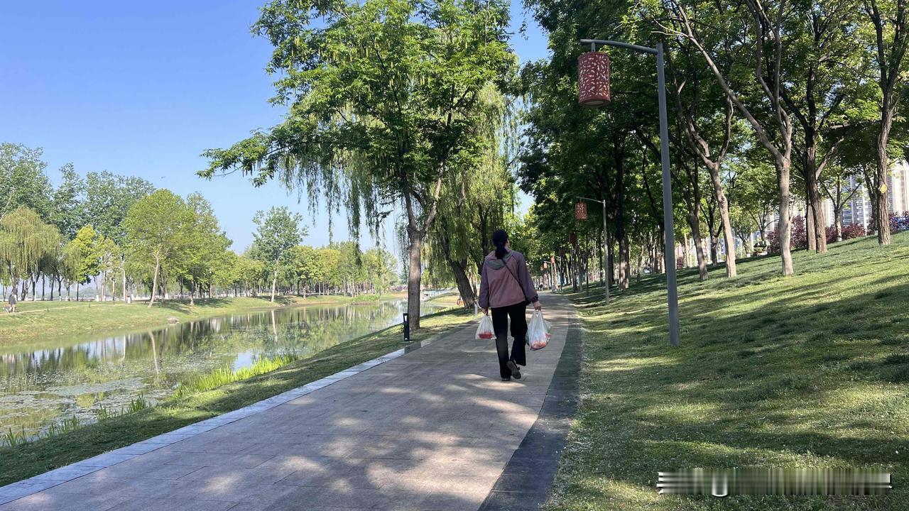 我最近才弄明白，微头条收益高的真正秘诀，居然藏在字数里。

以前我写微头条，总觉