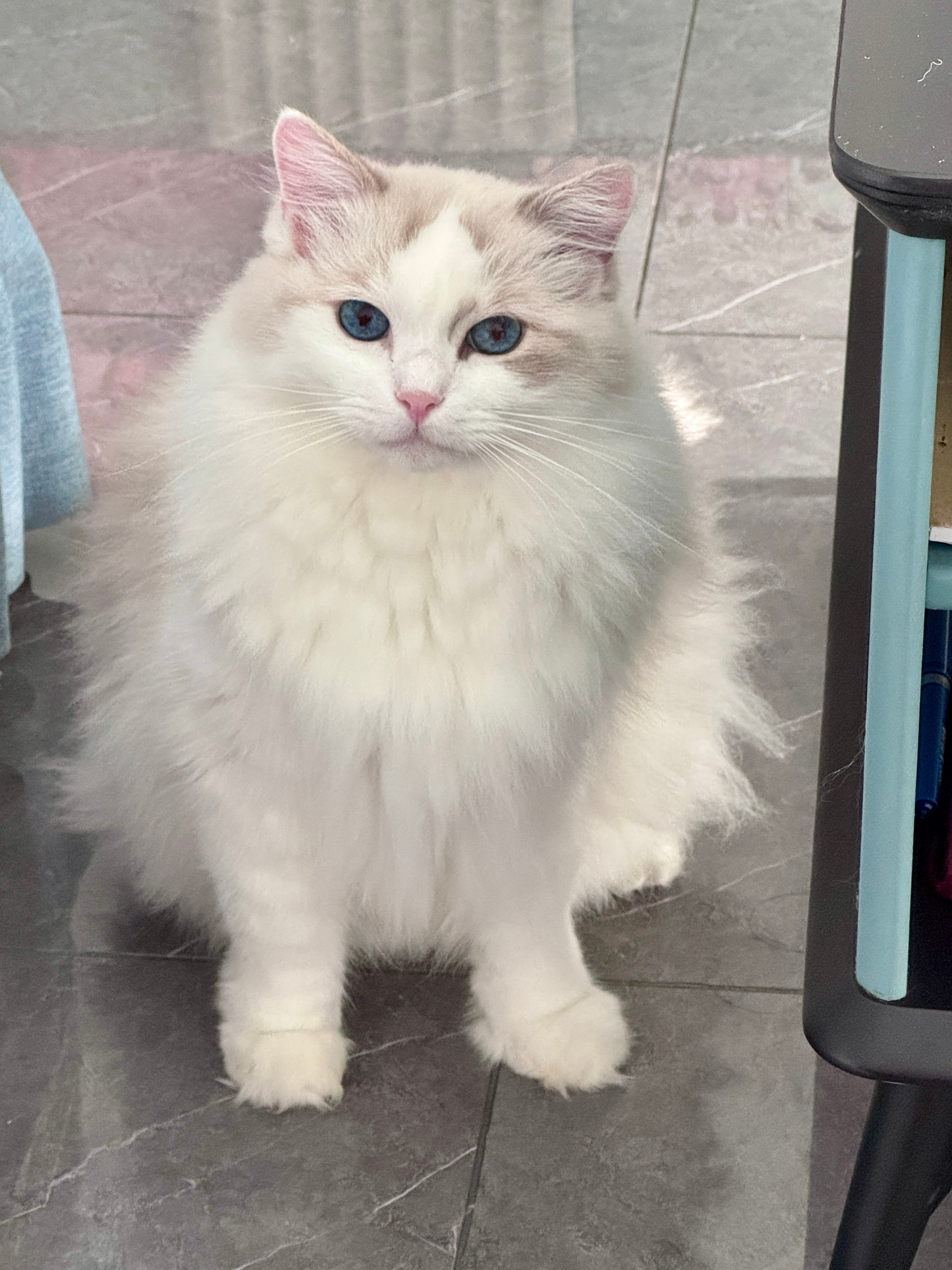 被妈妈养的很好的皮皮酱 ​​​