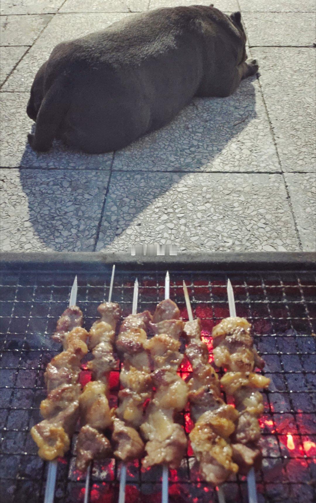 给狗子烤几个白串串，狗子都等困了😪～～