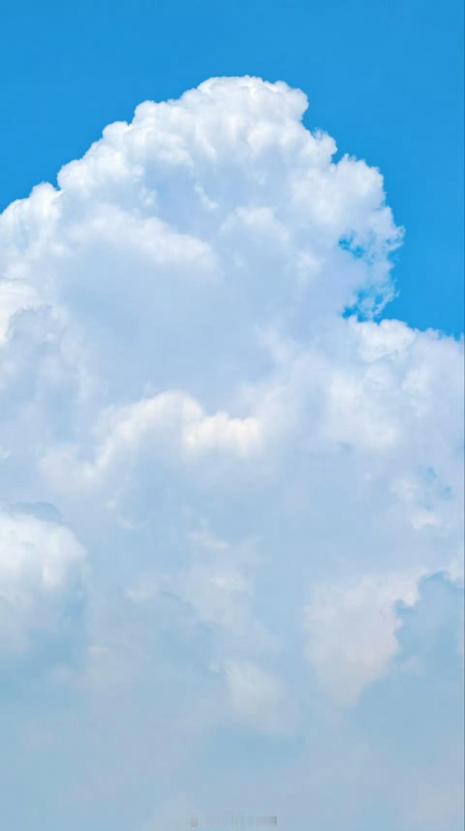 谁懂奶奶要求开空调的含金量这个含金量可太高了，这么省的一代人都要开空调了，说明实