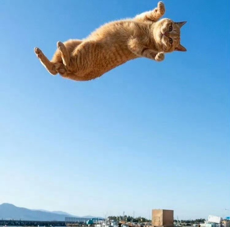 本周起你期待的都会到来！ 运势