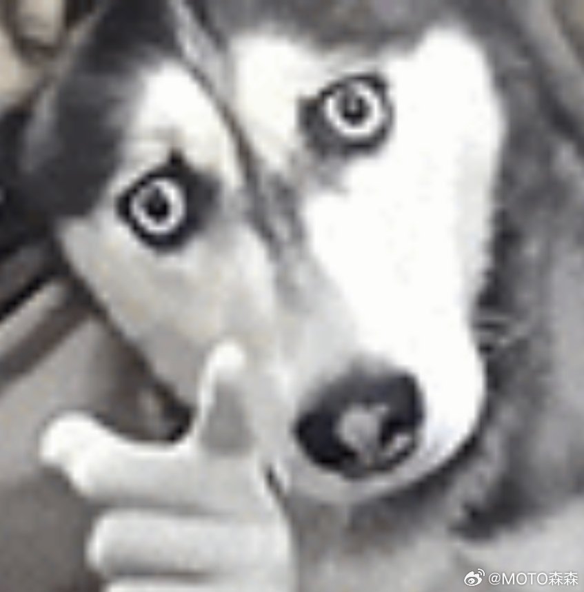 虽然我只开了两天mix，但是不许在我面前批评mix只有我可以在上批评🥲 