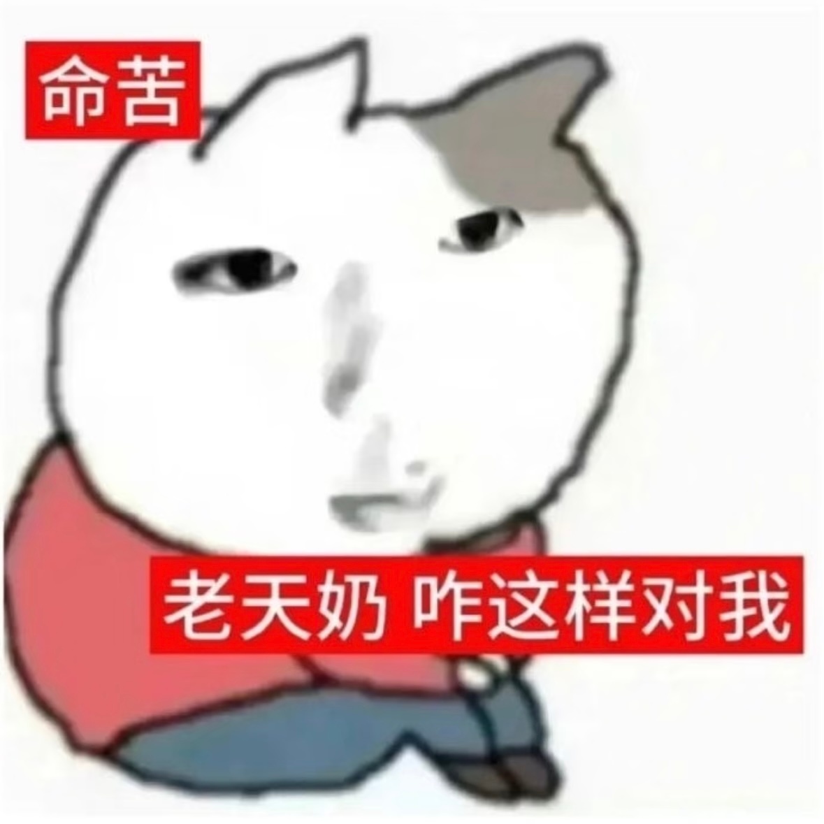 生活不是说给个巴掌给个甜枣吗 怎么全是巴掌？ 