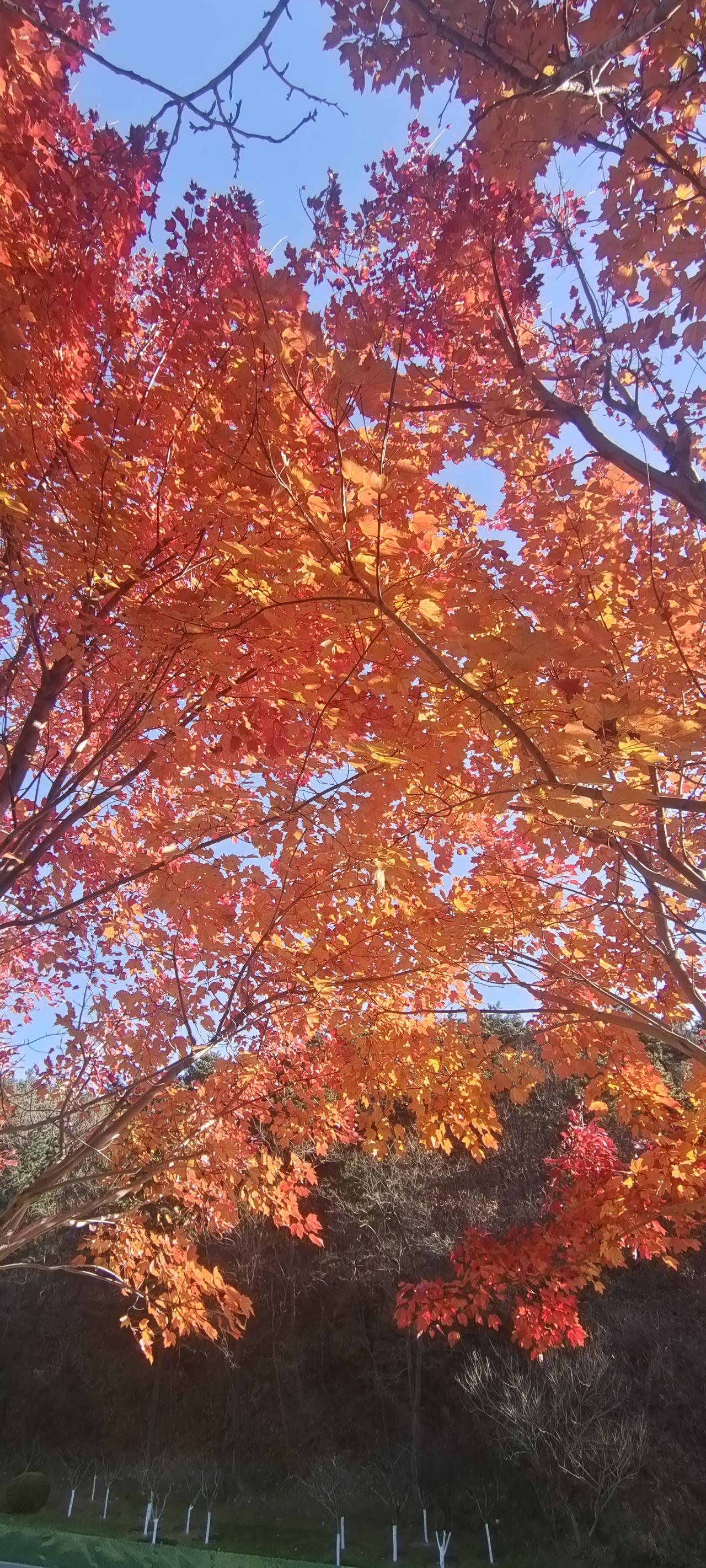 宋教授，明年六月份退休，工业大学副教授，他说退休能开1万块钱。
于同学，工商行的