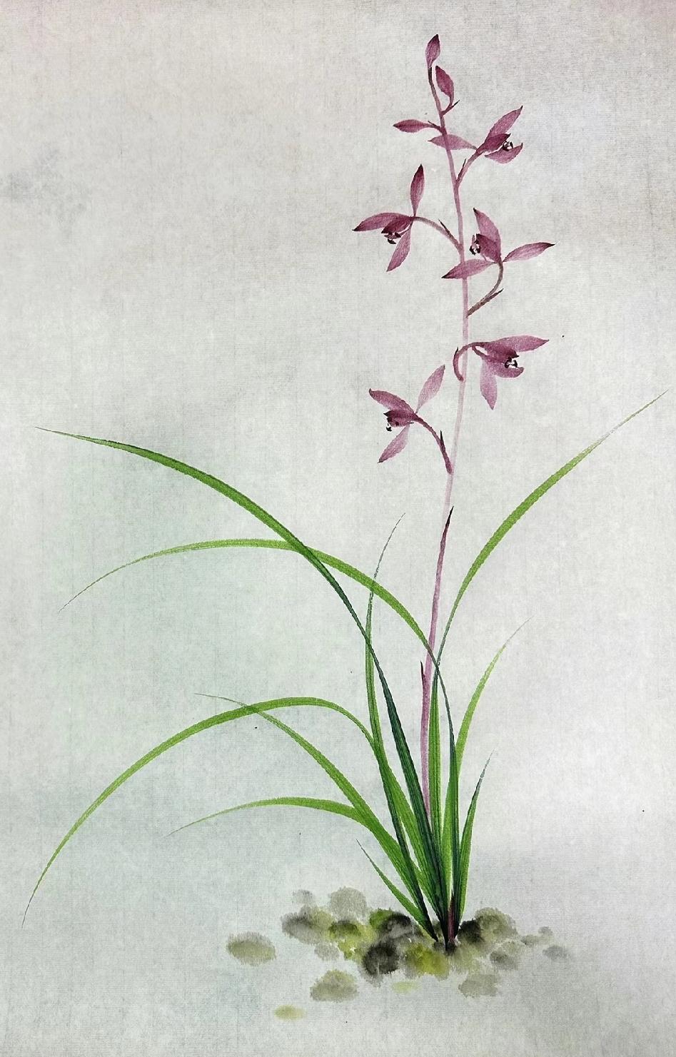 《青兰韵》

独把青来赋兰意。
叶叶枝枝，俱是青青系。
素魄不须胭粉砌。

香在