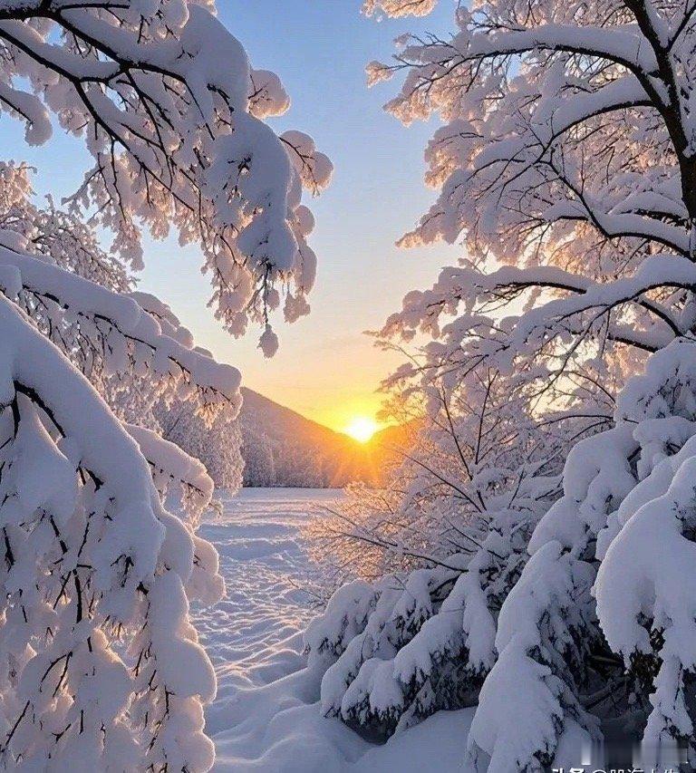 1月20日周二早间要闻一、个股公告• 平治信息：预中标约4.89亿元智算服务项目