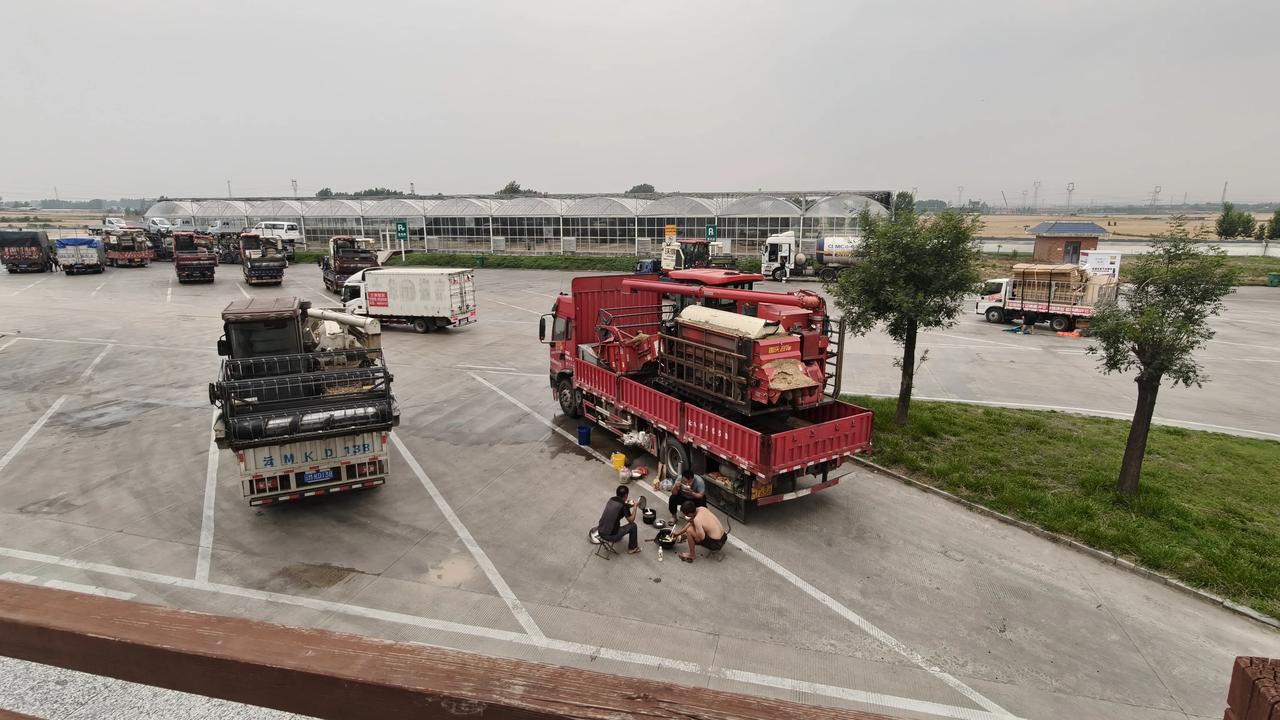河北邢台柏乡高速服务区偶遇大批麦客，转移收麦过程中在服务区短暂休息。第一张是几个