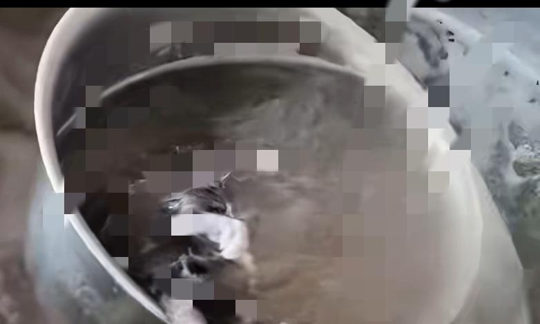 太恶心了，
早餐店汤里捞出异物！
熬到发白太吓人！
广西百色有个朋友去粉店吃早餐