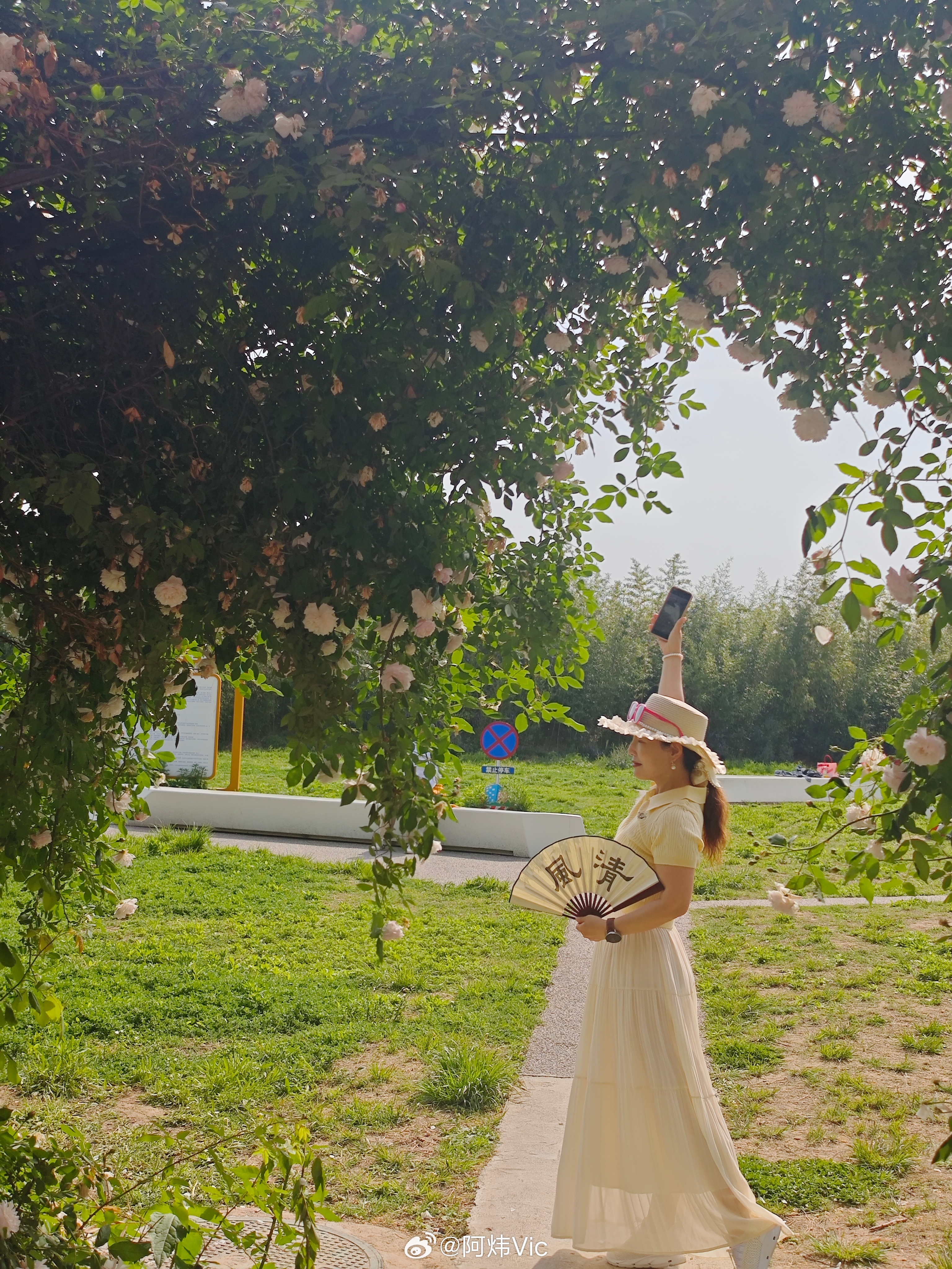 一直以为夏天穿白色衣服最防晒【穿什么颜色的衣服最凉快 】炎炎夏日，别再默认“白=