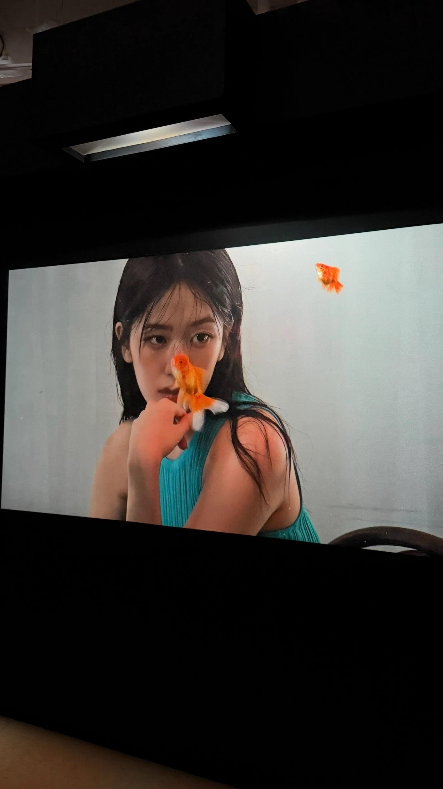 张家诚拍了安宥真 张家诚工作室成员透露 An-Young双人展览，安宥真部分是张