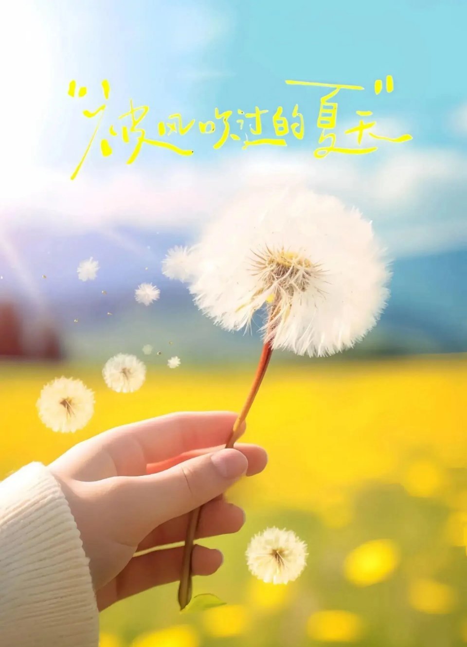 🎐 ²⁰²⁴🎐                     一半是夏末的余热， 