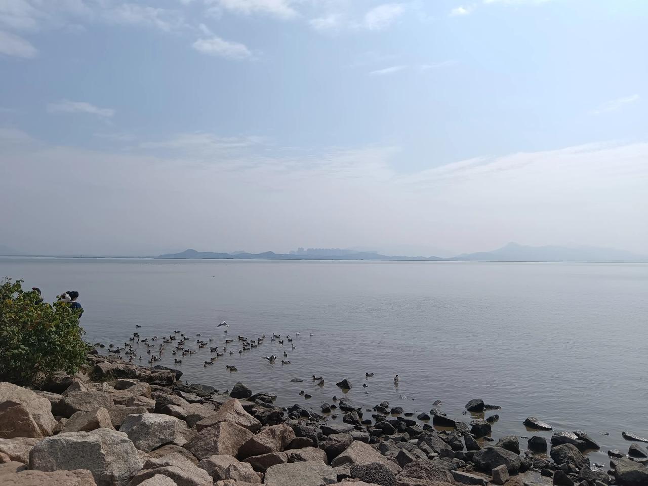 对面就是香港