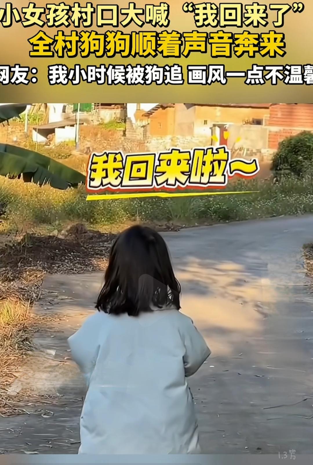 小女孩村口大喊“我回来了” 全村狗狗顺着声音奔来 网友：我小时候被狗追 画风一点