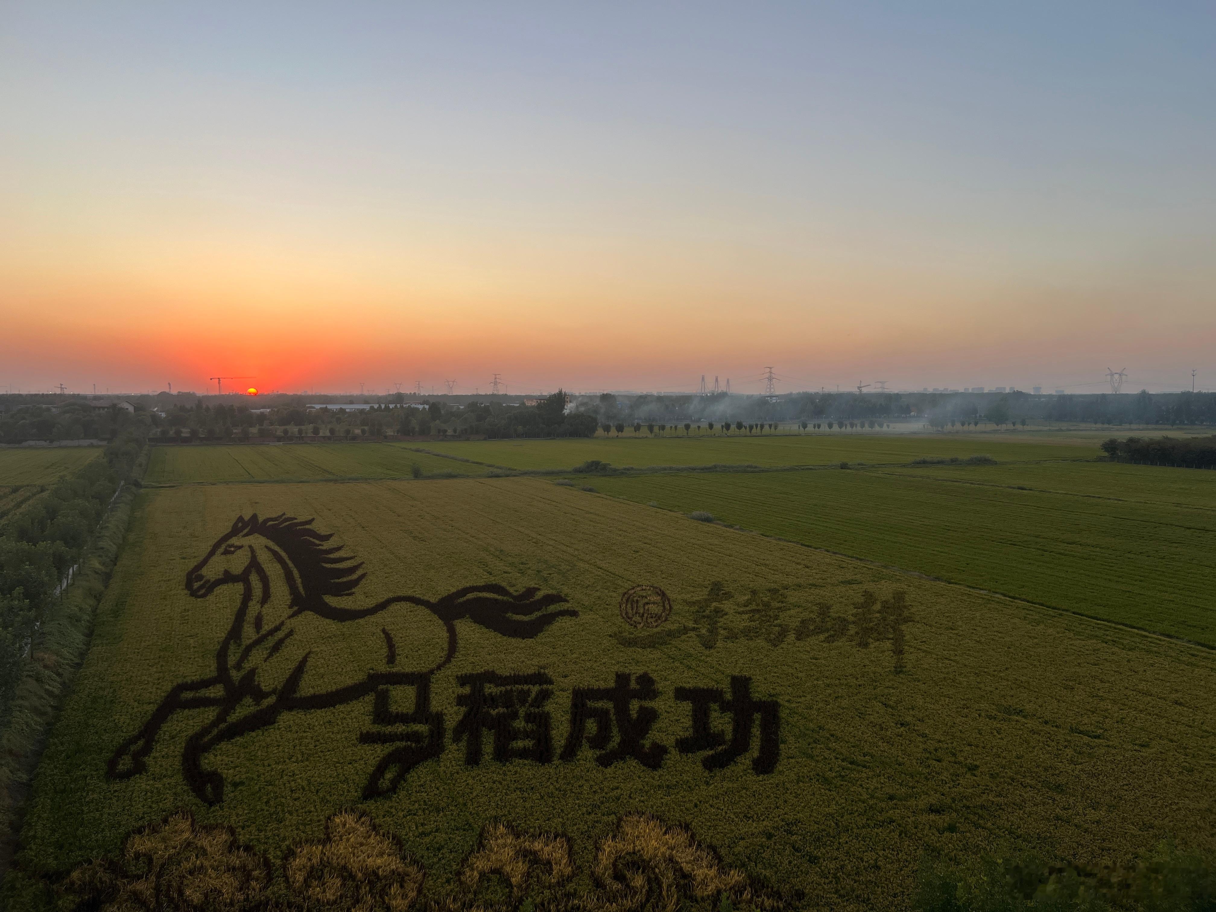 追落日的假期  ​​​