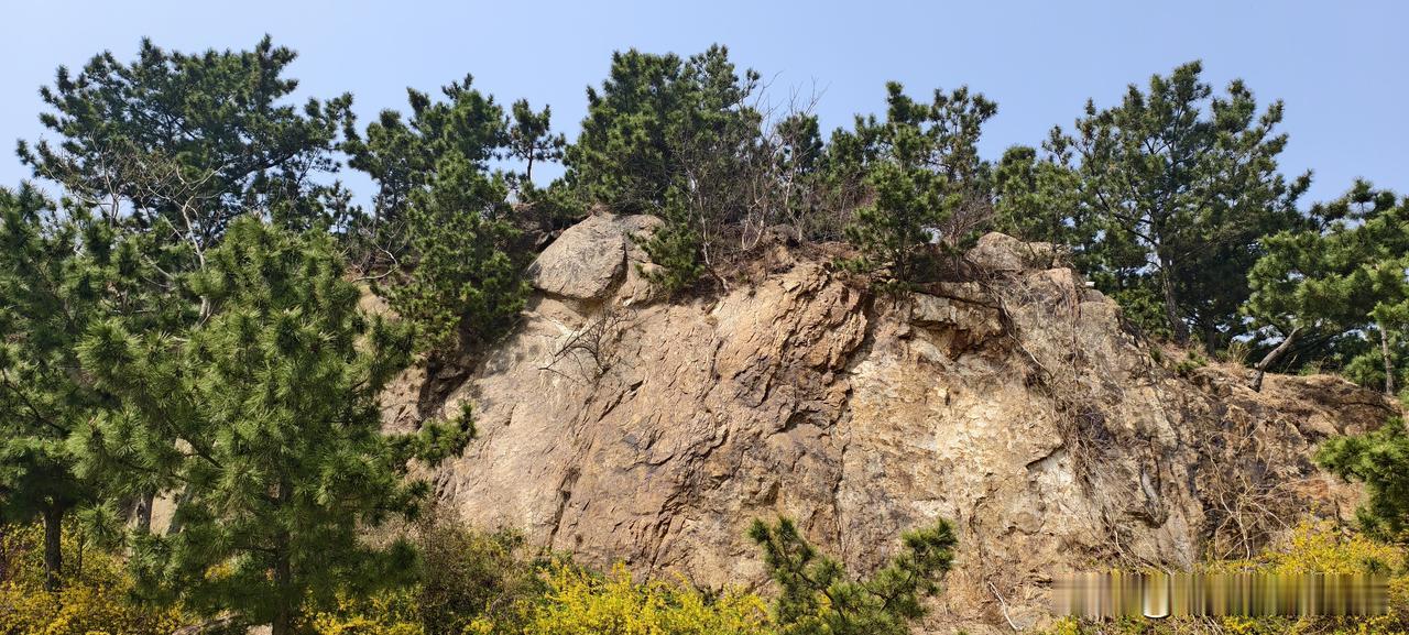 上班久了才发现：领导提拔谁，不看能力，看“像不像自己”

我待过一家公司，领导是