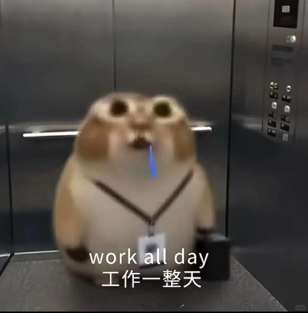 下班了今天又在裤衩里坐了8小时 