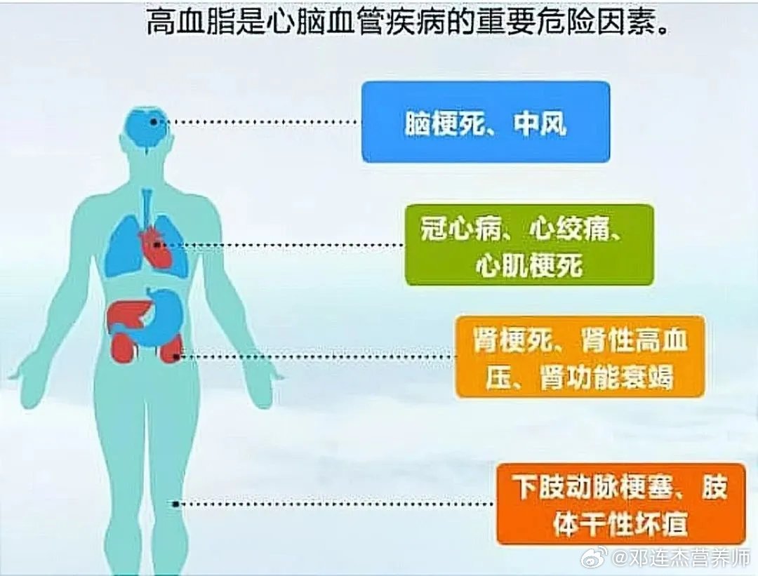 三高到心衰重在阻抑心血管事件链通络药物干预心血管事件链专家共识英文版新加坡发布 