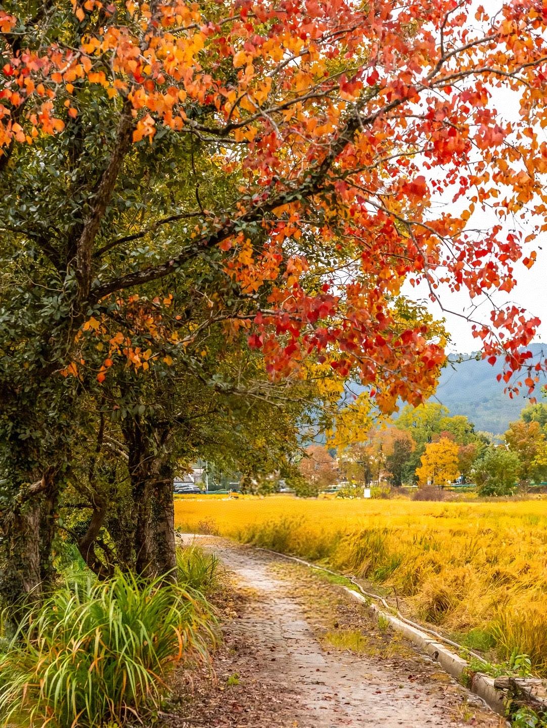 刚刚跟一位家长聊天，告诉我孩子化学考了54分，54分处于C等级(60-69分)，