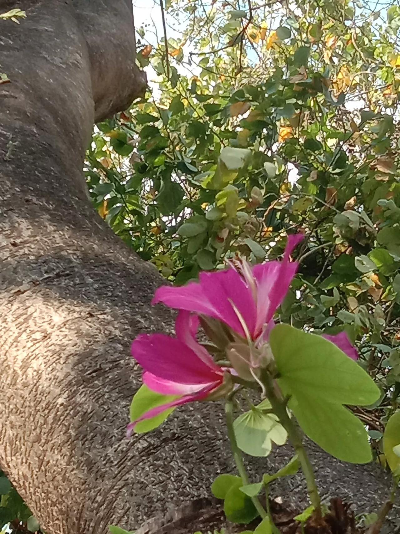 一位医生说：“恢复精力最快的方法，
就是每天晚上坚持，
在空闲时放空自己，
什么
