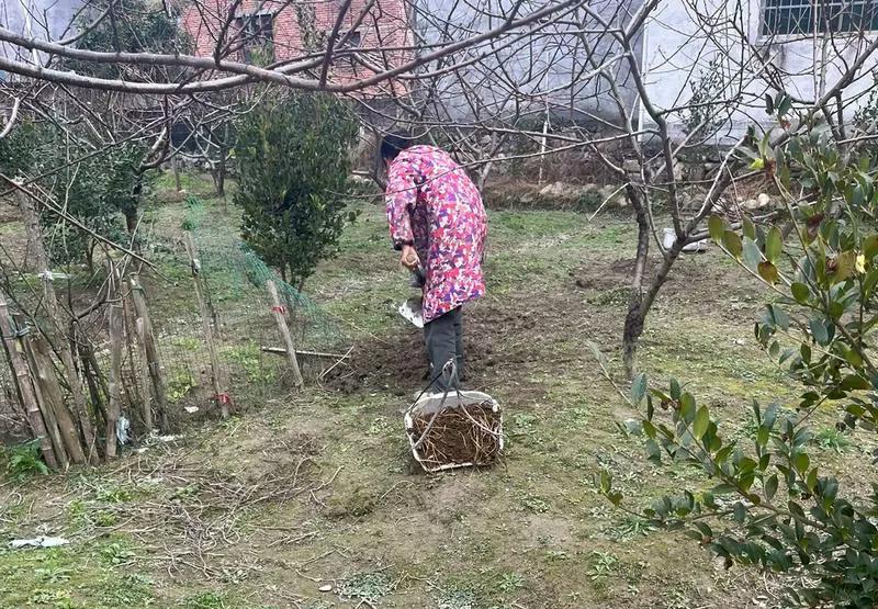 农村的贼又开始猖獗起来了

今天听房东阿姨说，昨天夜里，村子里一户人家的鸡，被贼