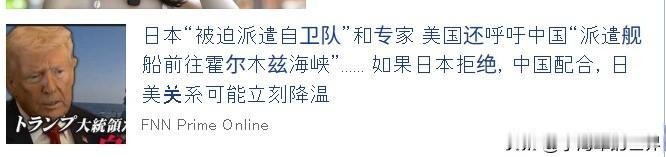日本人的政治逆向思维令人费解！倘若日本拒绝美国，向霍尔木兹海峡派遣扫雷舰，而东大