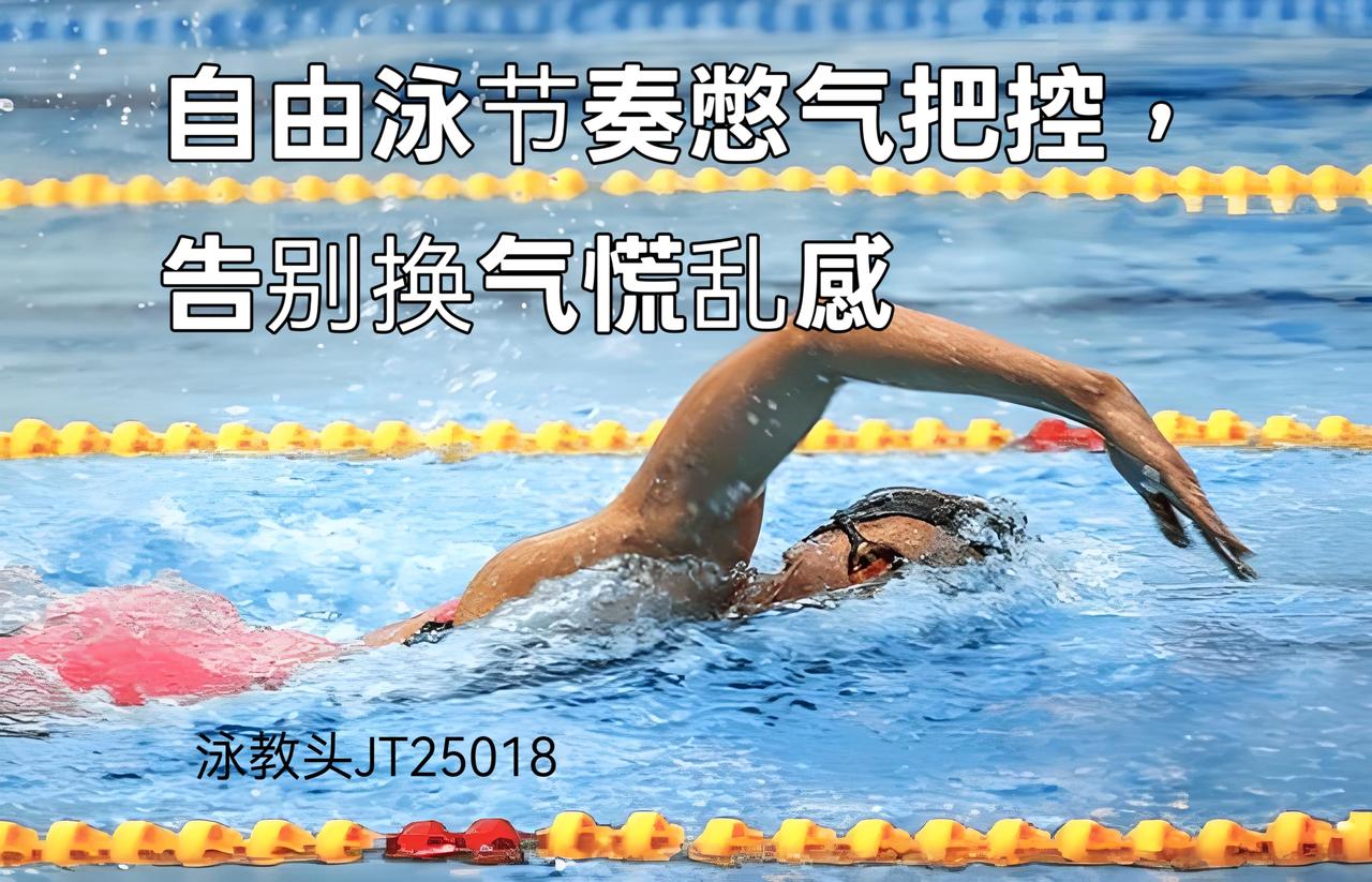 泳教头 | 泳讲堂：自由泳节奏憋气把控，告别换气慌乱感
 
很多泳友游自由泳时，