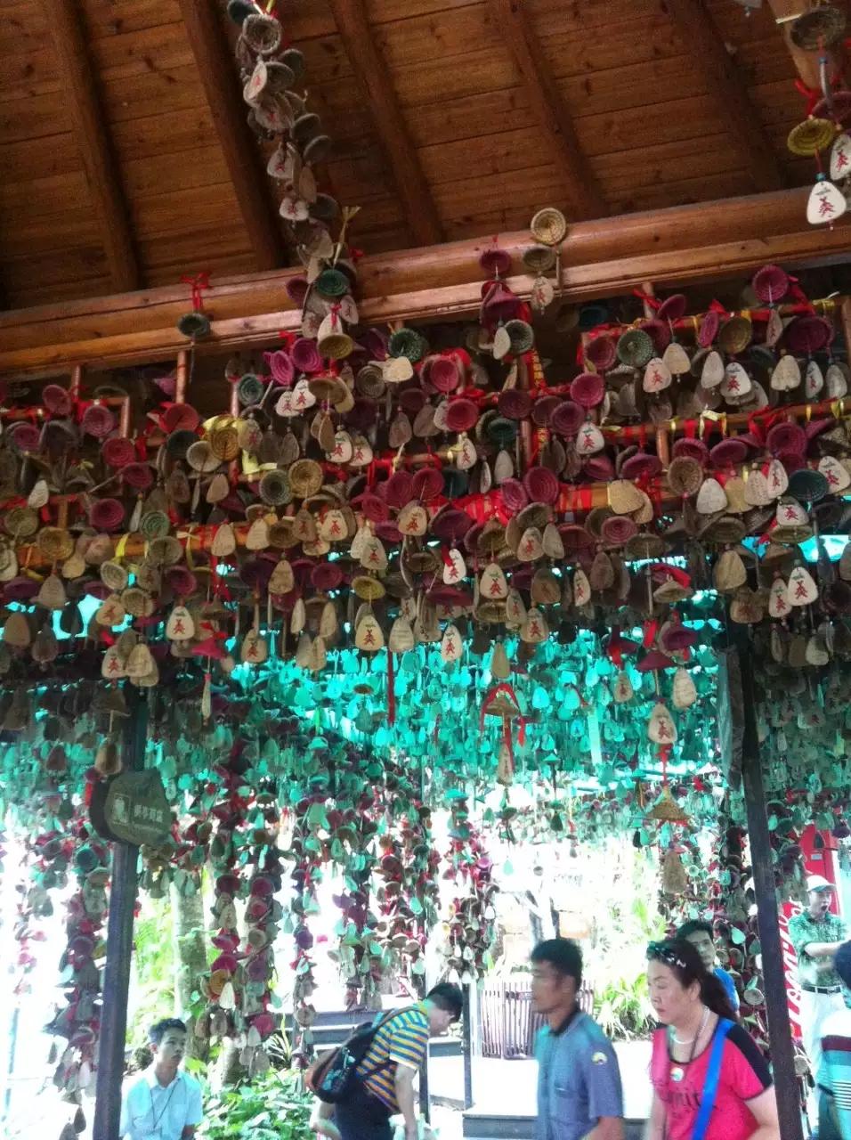 这几天睡眠特别差，也不知道是不是天气的原因，总是早醒，睡得一点都不踏实。广东这阵