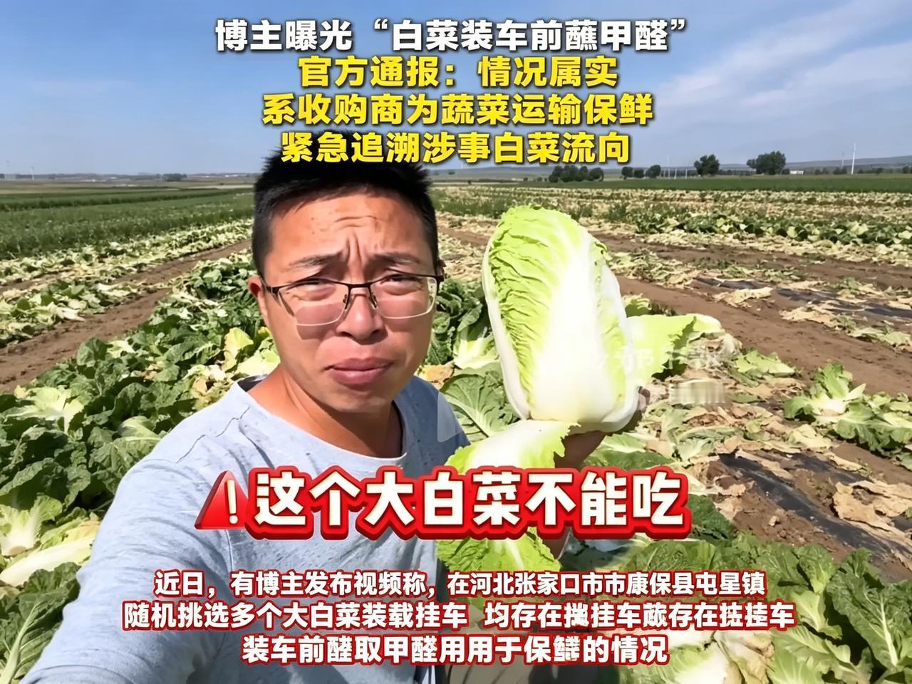 张家口大白菜被牵连的无辜受害人出现了！

都不用说，这场风波伤害最大的是种植户了