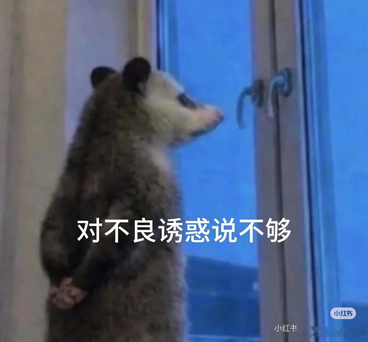 每次脱袜子的时候都会拿起来顺便闻一下味道🙉结果只有淡淡的皂香作为一个txl完全