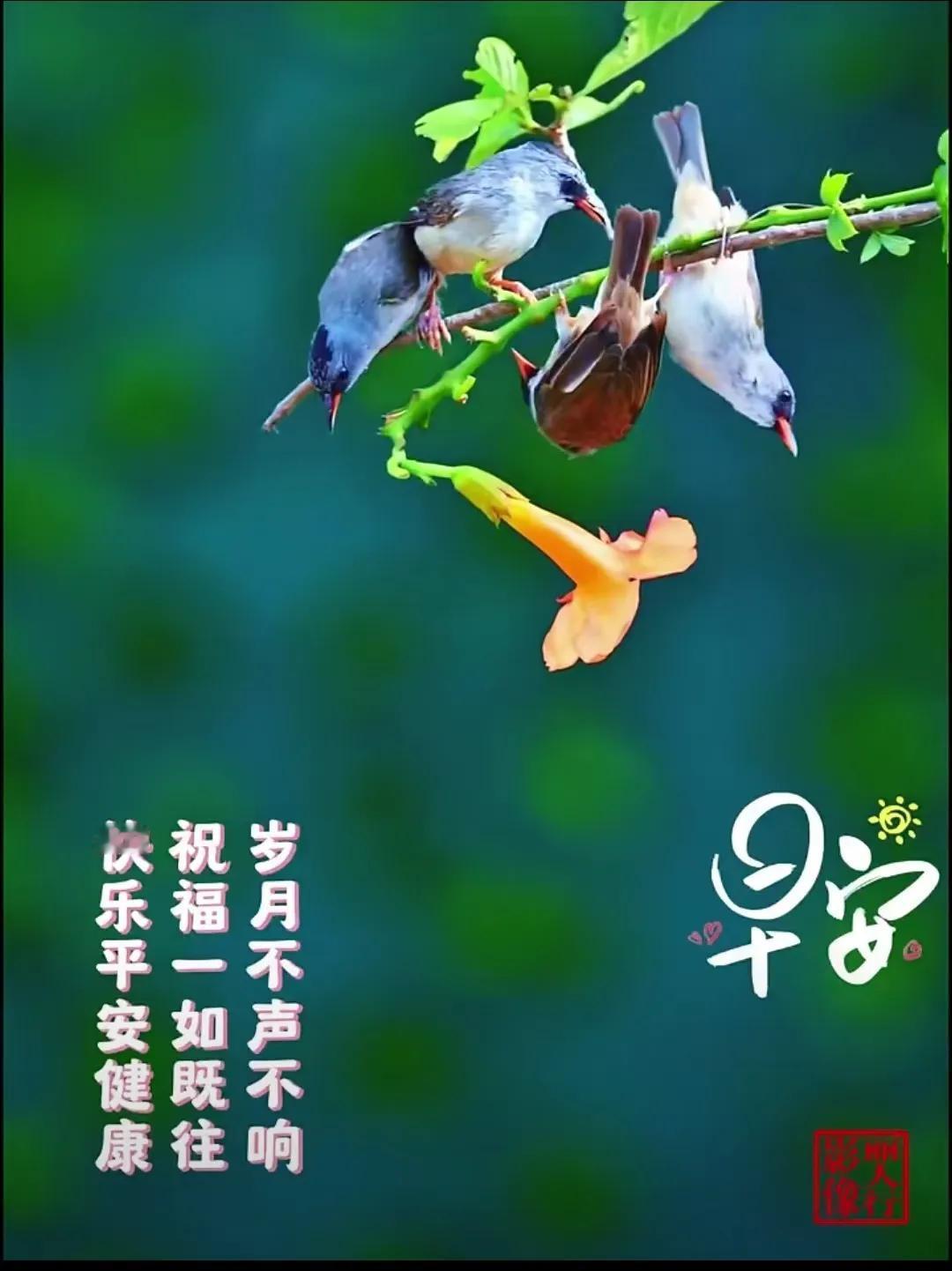 坚持做到“三会”:
一是会做人:严于律己，宽以待人，克已奉公，维护法纪；
二是会