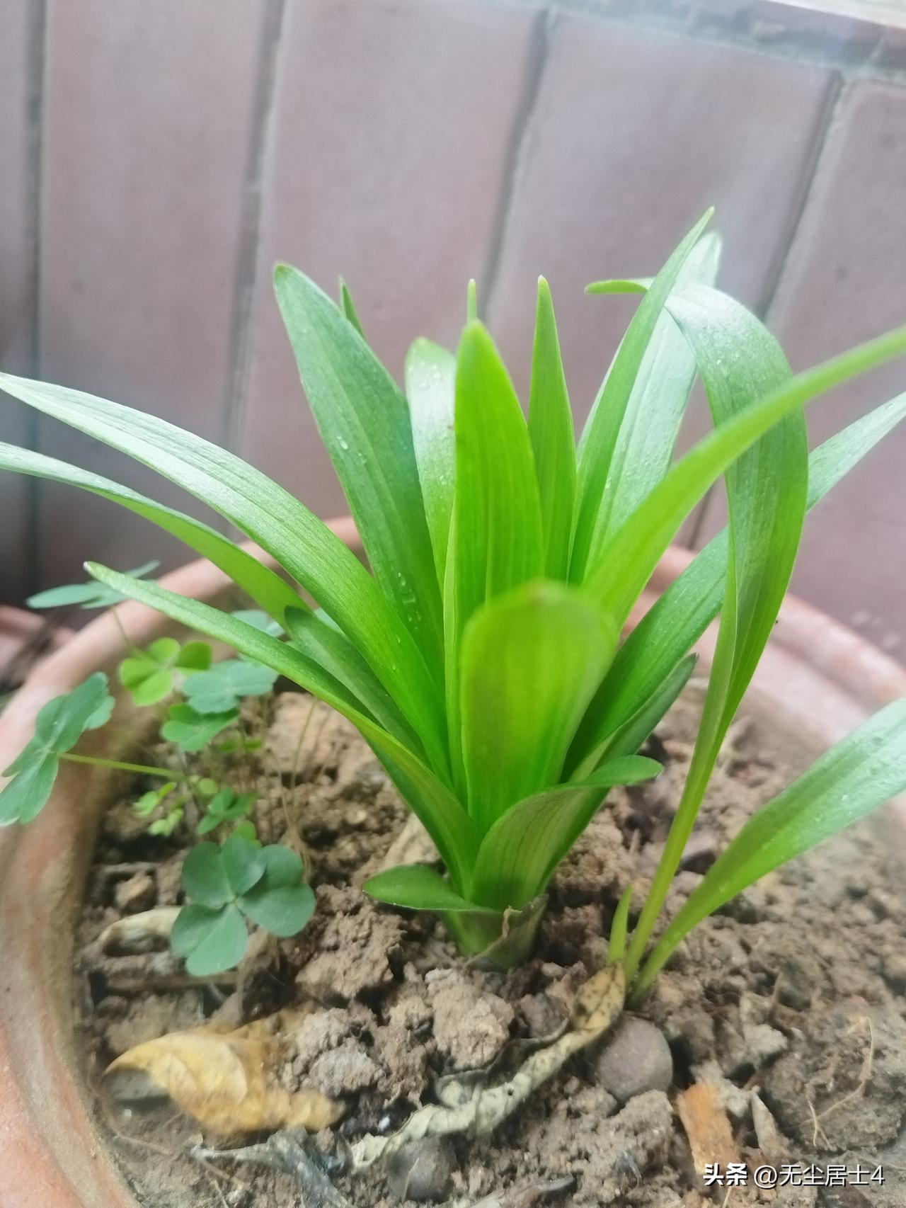 作为胃癌患者，现在意识到无论什么癌症，都要规范治疗，包括辅助治疗（化疗，放疗，免