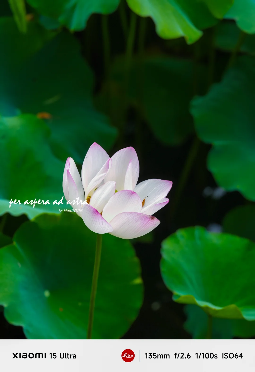 如何破情关、渡情劫