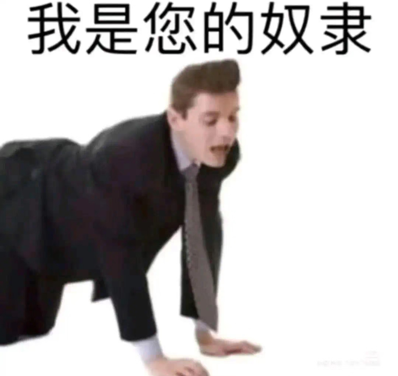 贝雷帽和皮质手套吗？我找到我的身份了呀