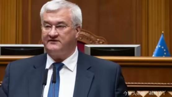 乌克兰内阁在2026年2月1日正式生效的第1332号决议，内容完全真实。新规对战