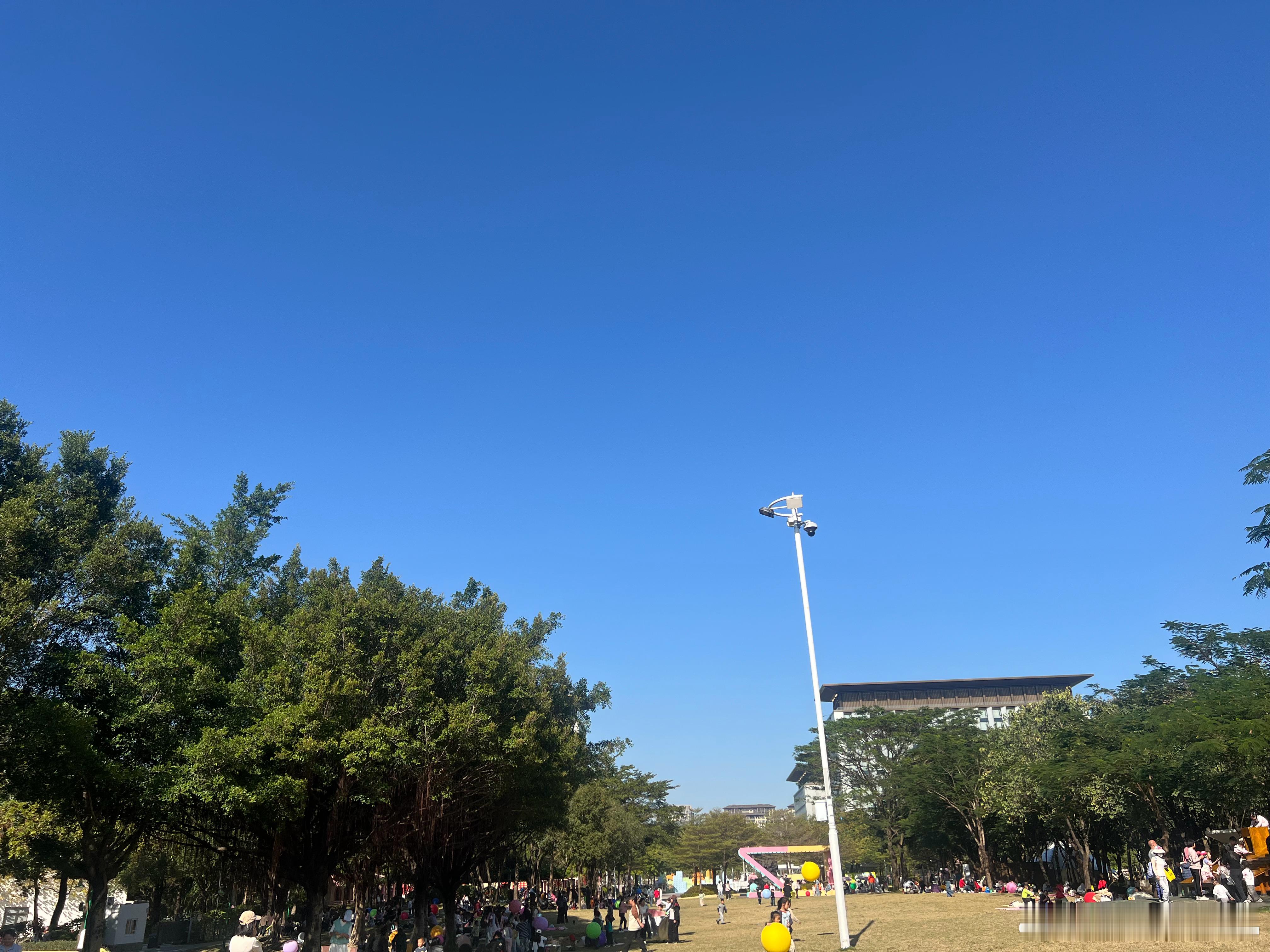 溜娃娃米米的成长记录