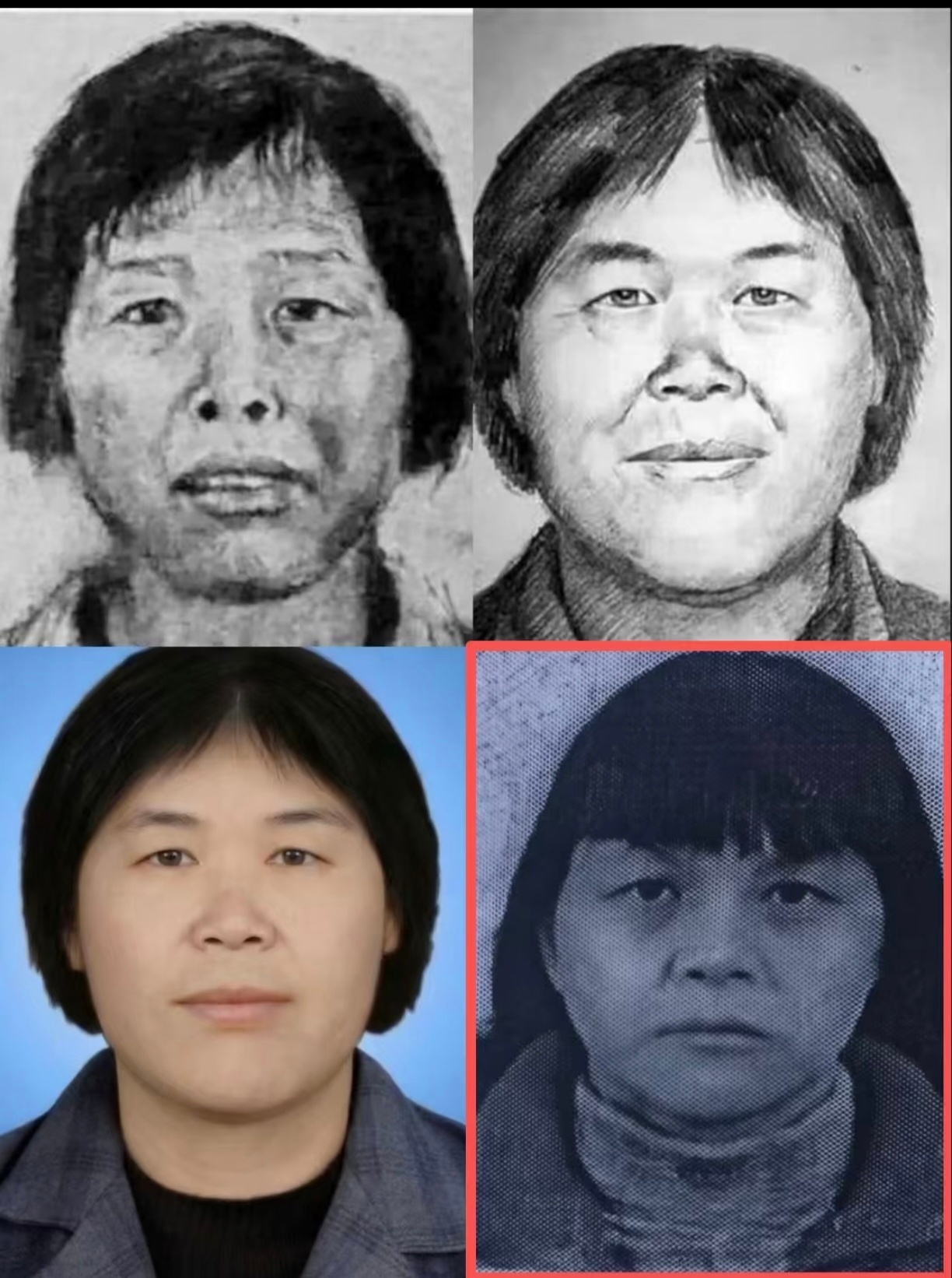 梅姨证件照曝光这眼神一看就是个狠人，画像虽然和真人看起来有点像，但要靠这画像抓人