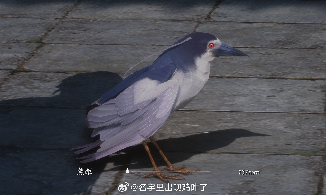 你素，，， 